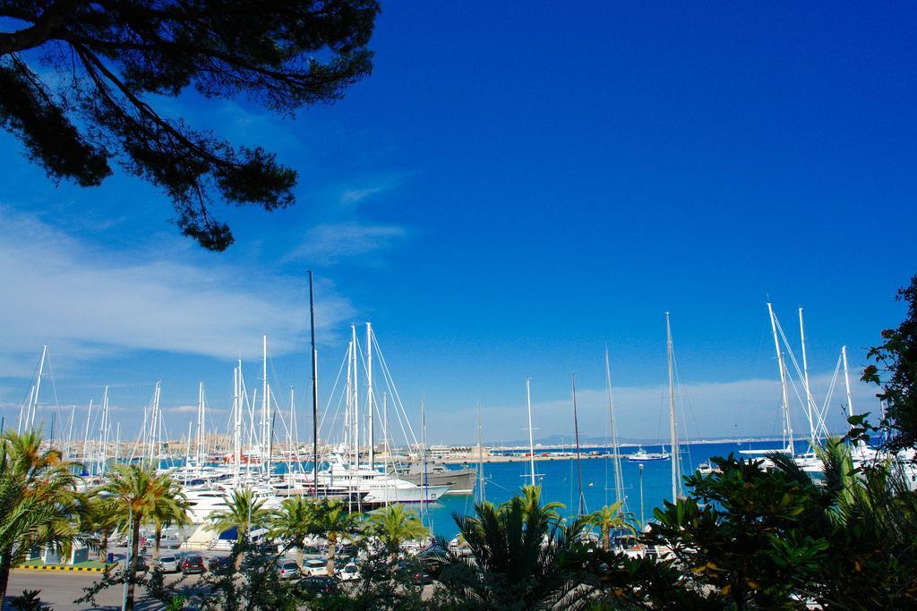 Ca'N Perlita Βίλα Πάλμα ντε Μαγιόρκα Εξωτερικό φωτογραφία